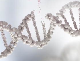 BAP1 Genetic Mutation 